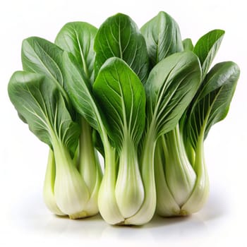 Bok choy vegetable (Chinese cabbage) isolated on white background. Ai generated image