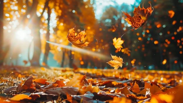 A beautiful autumn scene with leaves falling from the trees. The leaves are scattered all over the ground, creating a colorful and serene atmosphere. The sunlight shining through the trees adds a warm