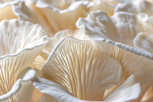 Group of white mushrooms on clean background for health and wellness concept