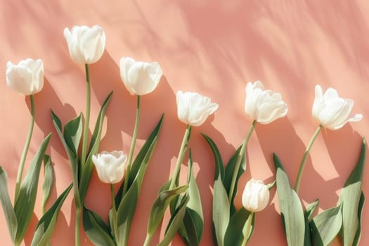 Elegant white tulips arranged on a soft pink background with deep shadow, suitable for beauty, home decor, spring, and naturethemed stock photos