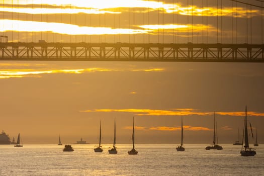 Sailing boats at sea under the bridge at sunset. Mid shot