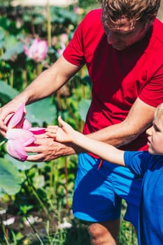 Father son study plants, looking on buds flower bud leaves stamens petals. Natural sciences, family education. Happy childhood parenthood harmony.