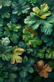 Green Leaf background, Environmental background and Desktop wallpaper.