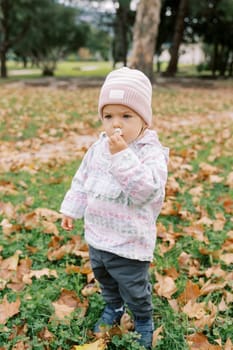 Little girl stands on the lawn among fallen leaves and smells a wild flower. High quality photo
