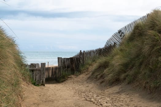 Utah Beach in Normandy, France wood sea fence, grass and sand dunes. Sunny sky light ble clouds. Ammophila arenaria grass on sandy dunes. High quality photo