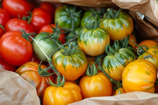 Several ripe tomatoes arranged neatly on a white sheet of paper.