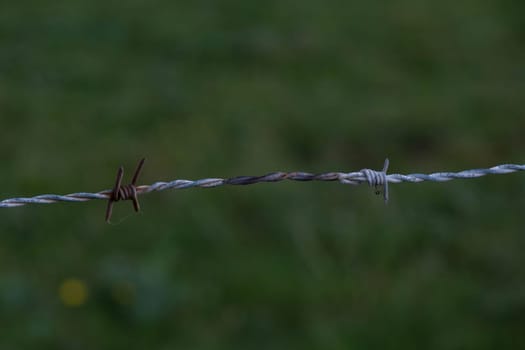 Barb wire backed by seagrasses at Normandy area of Utah beach. Selective focus. High quality photo