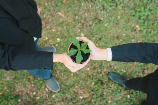 Top view business people holding plant as concept of eco company committed to corporate social responsible, reducing CO2 emission, protect susainable environment, and embrace ESG principle. Gyre