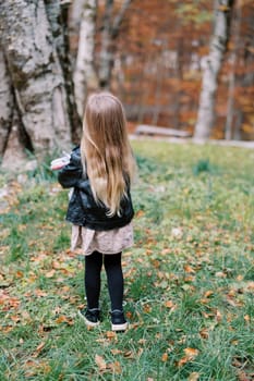Little girl with a soft toy in her hands stands in the autumn forest and looks at a tree. Back view. High quality photo