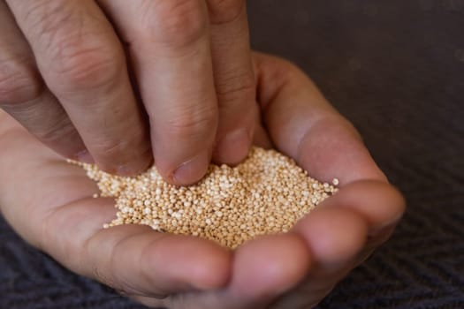 Quinoa grains . Very close up photo.Healthy food.Dark background.