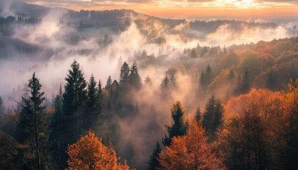 A foggy forest with trees in autumn colors by AI generated image.