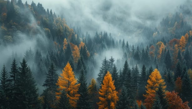 A foggy forest with trees in autumn colors by AI generated image.