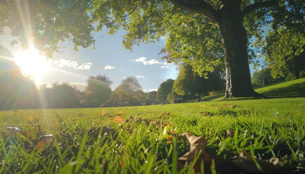 A tree with leaves on the ground and a sun shining on it by AI generated image.