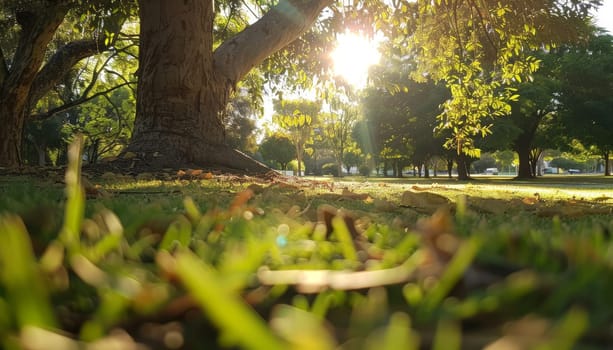 A tree with leaves on the ground and a sun shining on it by AI generated image.