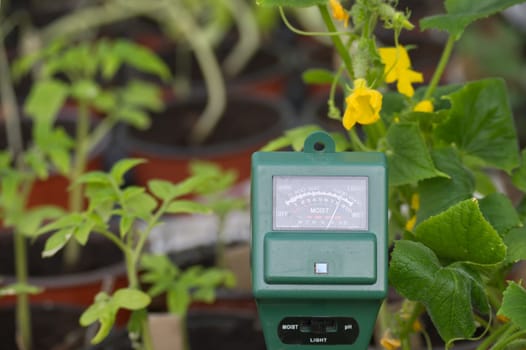 Three way meter to measure the soil pH, light and moisture level, agriculture technology concept