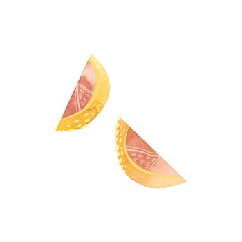 Two lemon slices in sketch style. Clipart. Isolated watercolor illustration on a white background for the design of tea shops, coffee shops, menus, sweets packaging.