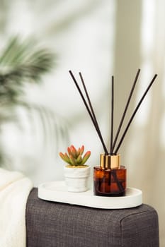 Aroma diffuser bottle with sticks in living room, close up