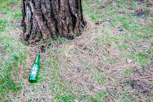 MURVAGH, COUNTY DONEGAL, IRELAND - JANUARY 21 2022 : Beer bottle lying in forest.