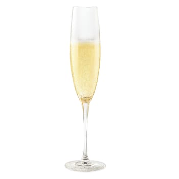 Rogaska Expert Champagne glass handmade crystal flute slender silhouette golden champagne bubbles close up from. Close-up wine glass, isolated on transparent background