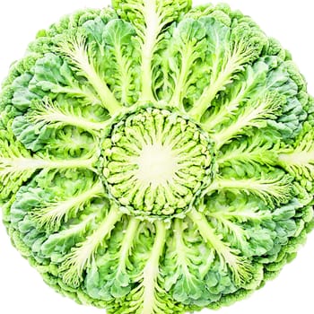 Brussels Sprout Mandala vibrant green Brussels sprouts layered in a precise radial design outer leaves. Food isolated on transparent background.