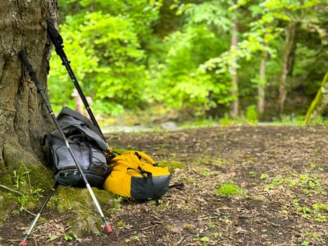 Yellow and gray hiking backpacks and trekking poles leaning against tree in forest. Outdoor adventure and camping gear in natural setting. Concept of hiking and overnight stays in forest. High quality