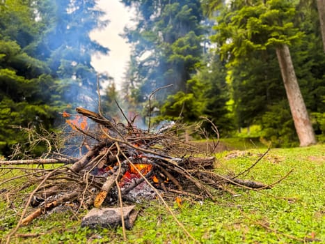 Burning bonfire made of branches and sticks with rising smoke in forest clearing surrounded by pine trees. Natural outdoor scene for camping and adventure. Hiking trip and overnight stays in forest.