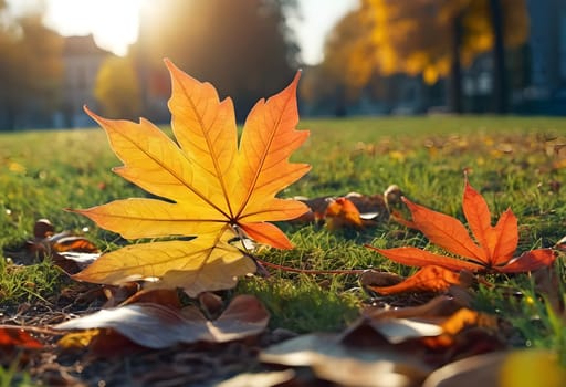 Sunny Serenity: Capturing the Tranquil Charm of Autumn in the Park