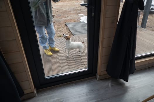 The dog stands at the patio window and asks to go inside the house