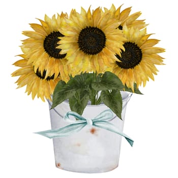 Sunflowers bouquet in a bucket watercolor. Hand drawn composition on white isolated background. Botanical clip art. Ideal for cards and invitations for Easter, Thanksgiving, Mother's Day. High quality photo