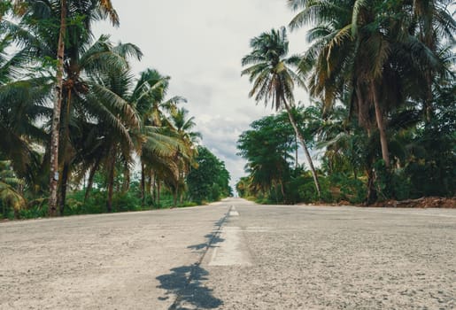 A serene, empty road stretches through a rural tropical area adorned with lush palm trees. The sky is partly cloudy, creating a peaceful atmosphere.