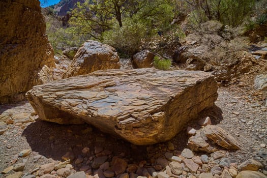 Large textured boulder along the Window Trail at Big Bend National Park, Texas.