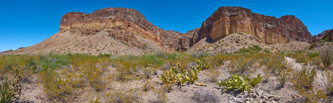 Rock formations along the Lower Burro Mesa Pouroff Trail at Big Bend National Park, Texas.