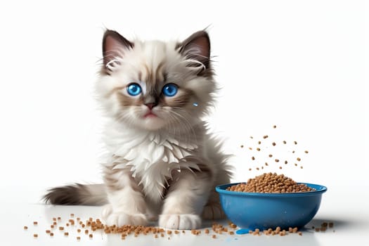 kitten with a bowl filled with dry pet food .