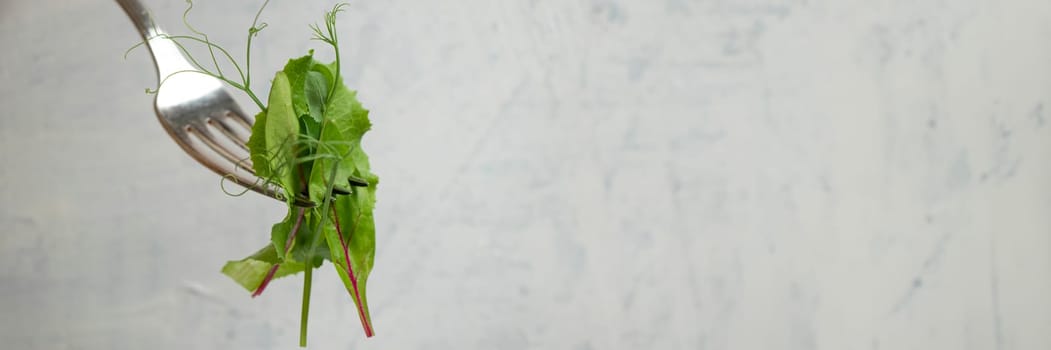 Banner of the fork with green salad, young beet leaves and pea shoots on light textured background with space for text