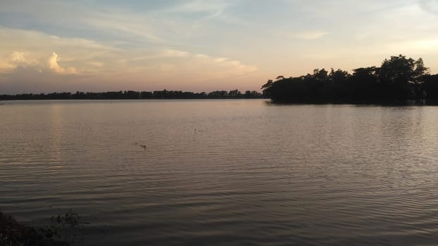 A body of water with trees in the background, showcasing the natural landscape. The trees stand tall against the sky, reflecting on the calm water surface.