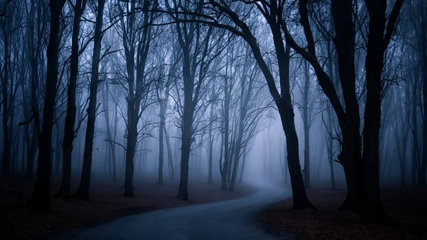 Mysterious Dark Foggy Forest Road With Tree Silhouettes