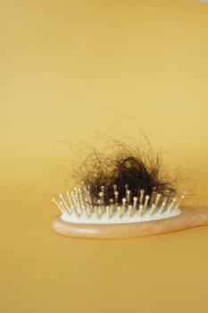 a brush with lost hair