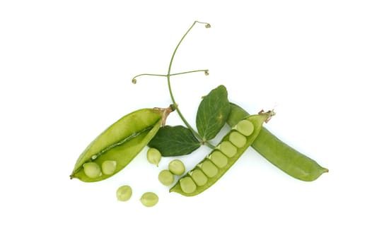 The pea pod is partially surrounded by a large green leaf with a pointed tip and irregularly shaped edges