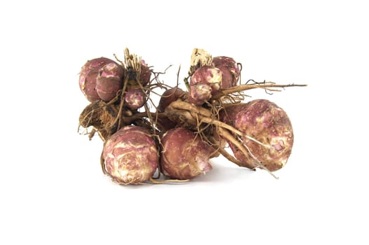 Freshly dug tubers of Jerusalem artichokes with roots isolated on white background. Helianthus tuberosus, topinambur or sunchoke