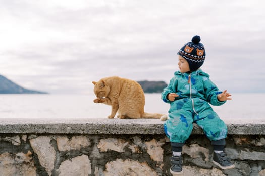 Little girl looks at a washing red cat on a stone fence by the sea. High quality photo