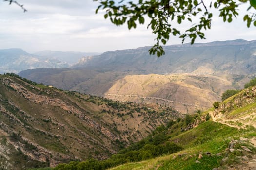 Caucasian mountain. Dagestan. Trees, rocks, mountains, view of the green mountains. Beautiful summer landscape