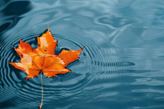 A maple leaf falling into an empty pond. AI generative.