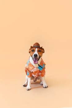 Cute and funny dog of the Jack Russell terrier breed in a cowboy hat and Hawaiian shirt on a sand-colored background. Travel preparation and planning. Close-up, indoors. Studio shot. Concept of recreation, travel and tourism. Pets care