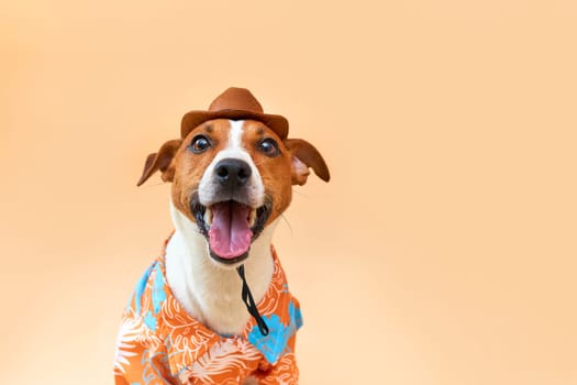 Cute and funny dog of the Jack Russell terrier breed in a cowboy hat and Hawaiian shirt on a sand-colored background. Travel preparation and planning. Close-up, indoors. Studio shot. Concept of recreation, travel and tourism. Pets care