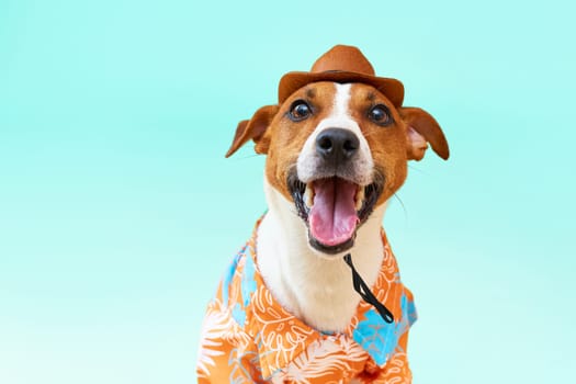 Cute and funny tongue hanging out dog of the Jack Russell terrier breed in a cowboy hat and Hawaiian shirt on blue background. Close-up portrait Studio shot. Concept of recreation, travel and tourism. Pets care