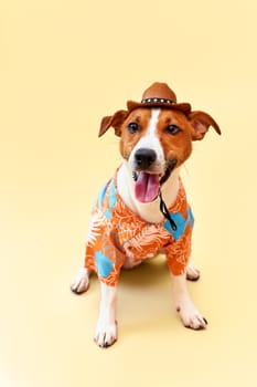 Cute and funny dog of the Jack Russell terrier breed in a cowboy hat and Hawaiian shirt on a sand-colored background. Travel preparation and planning. Close-up, indoors. Studio shot. Concept of recreation, travel and tourism. Pets care