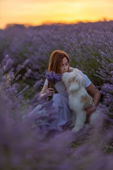 A woman sits in a field of purple flowers with a dog by her side. The scene is peaceful and serene, with the woman and dog enjoying each other's company in the beautiful surroundings