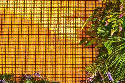 a painted cloth hung at the back of a theater stage as part of the scenery