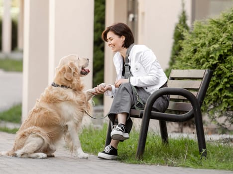 Golden Retriever Gives Paw To Its Owner Near House In Summer