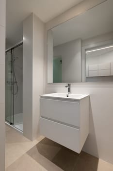 Modern minimalist bathroom design showcasing a white sink, large mirror, and a glass shower enclosure, emphasizing clean lines and functionality.